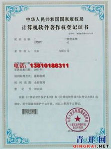 計(jì)算機(jī)軟件著作權(quán)登記代辦與企業(yè)管理咨詢 賦能企業(yè)創(chuàng)新發(fā)展的雙翼